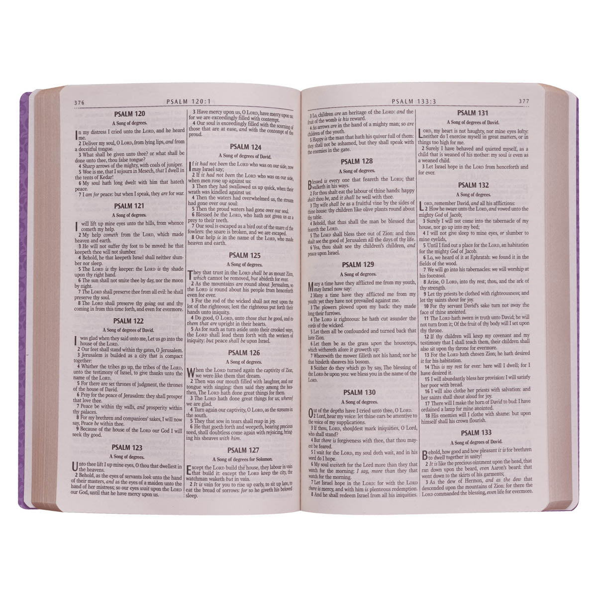 Purple Faux Leather King James Version Gift and Award Bible
