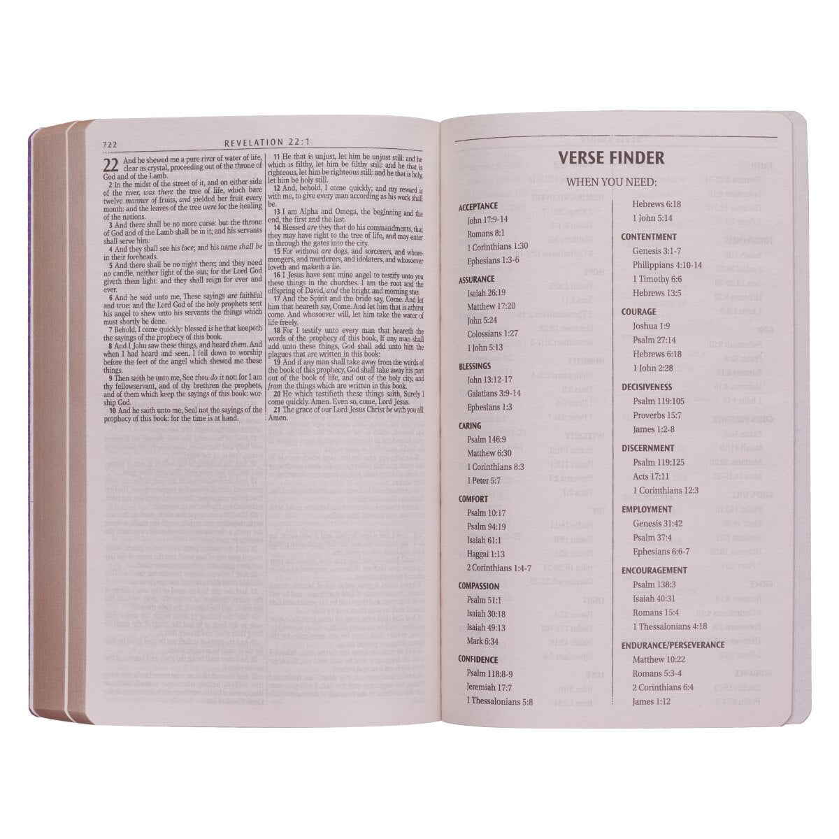Gold Olive Branch Softcover King James Version Outreach Bible