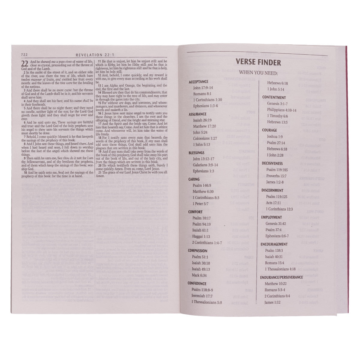 Burgundy Softcover Gift and Award King James Version Bible