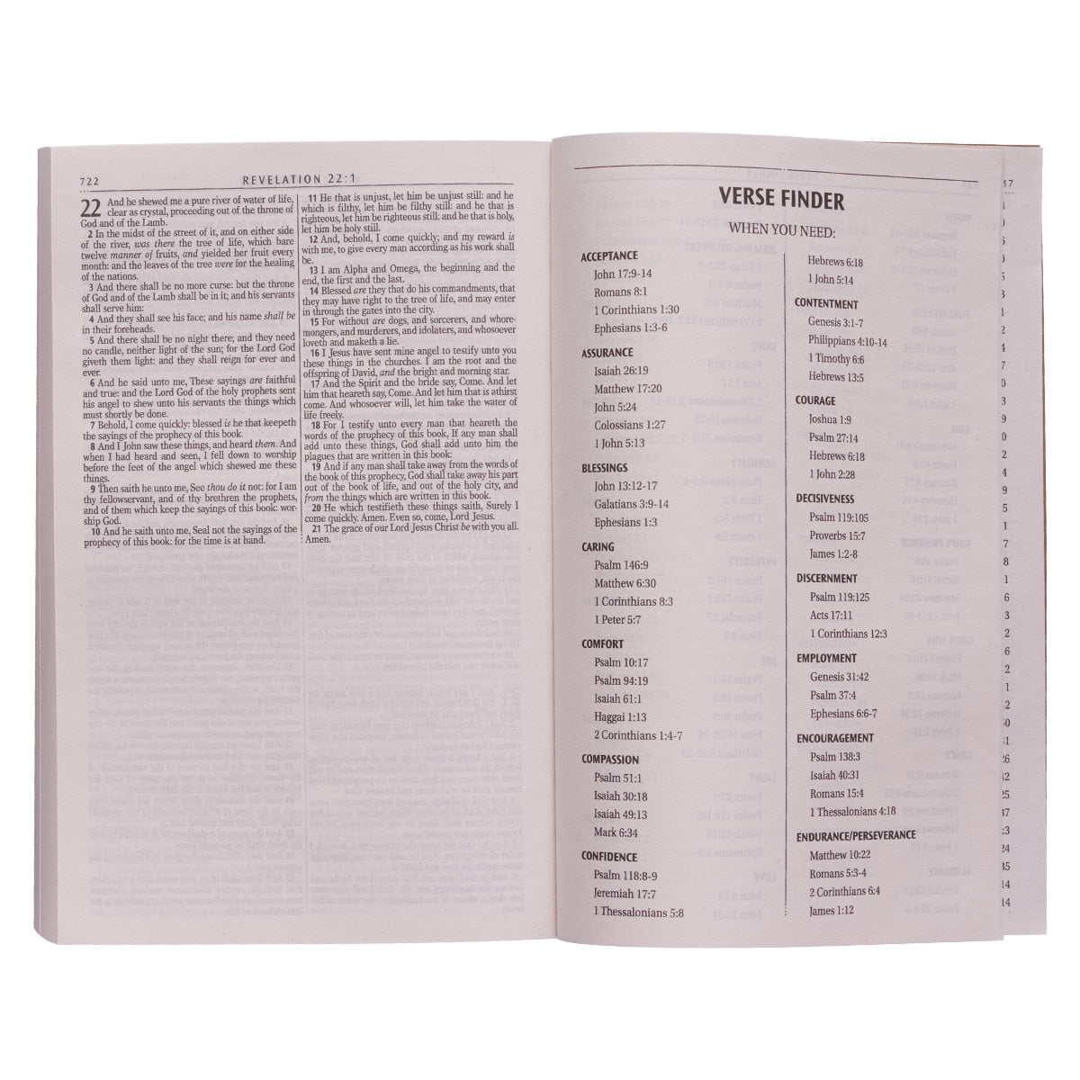 Antique Gold Softcover Gift and Award King James Version Bible