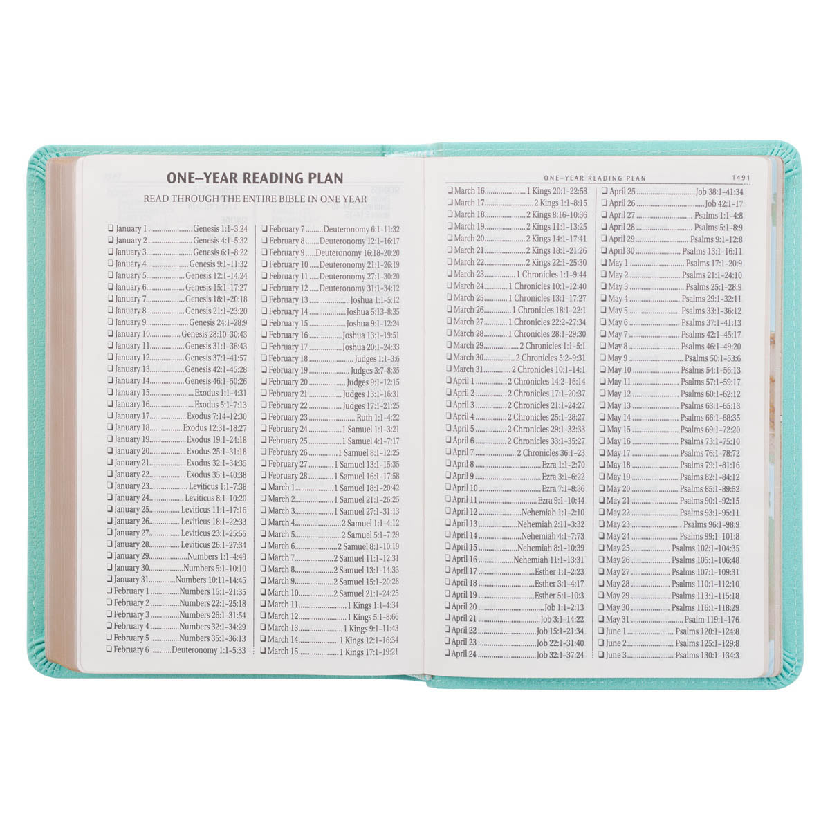 Robin’s-egg Blue Faux Leather Large Print Compact King James Version Bible