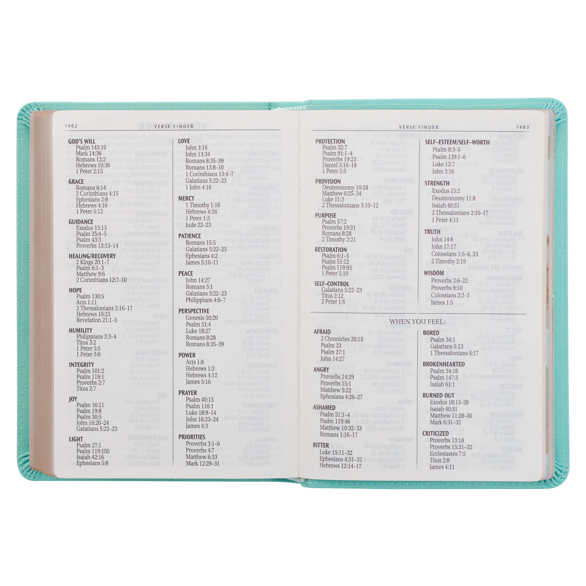 Robin’s-egg Blue Faux Leather Large Print Compact King James Version Bible