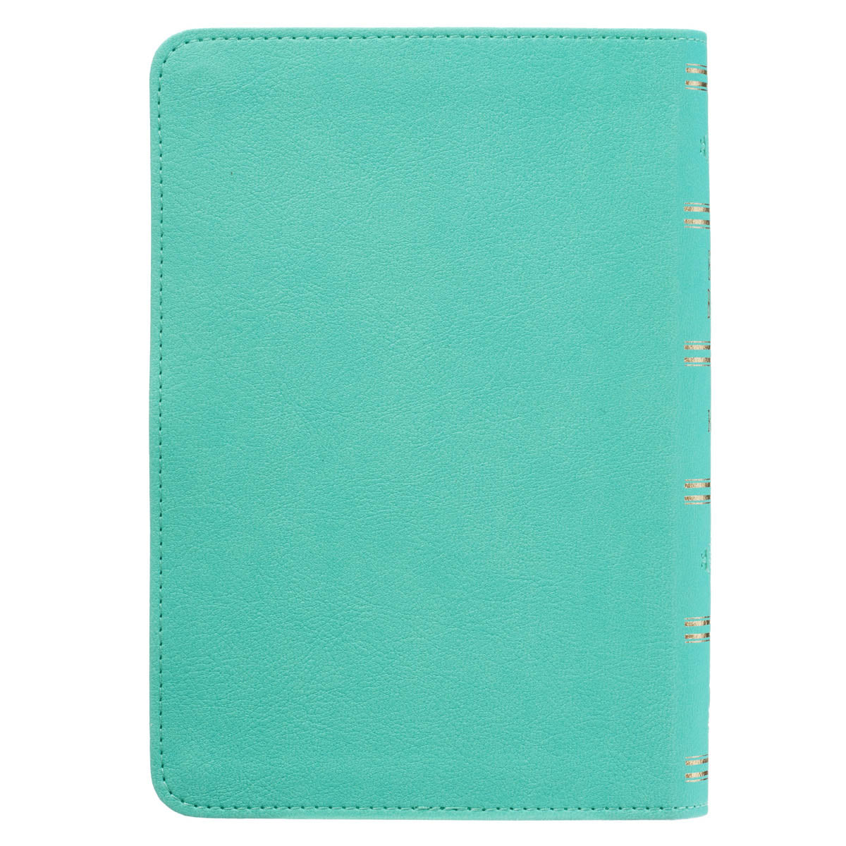 Robin’s-egg Blue Faux Leather Large Print Compact King James Version Bible