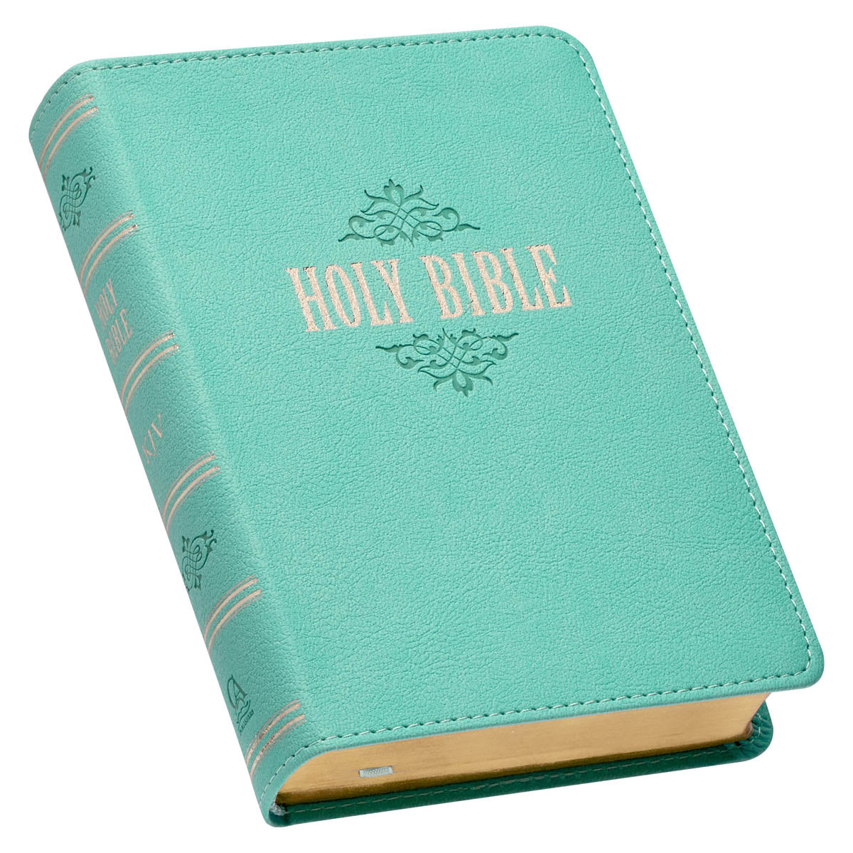 Robin’s-egg Blue Faux Leather Large Print Compact King James Version Bible