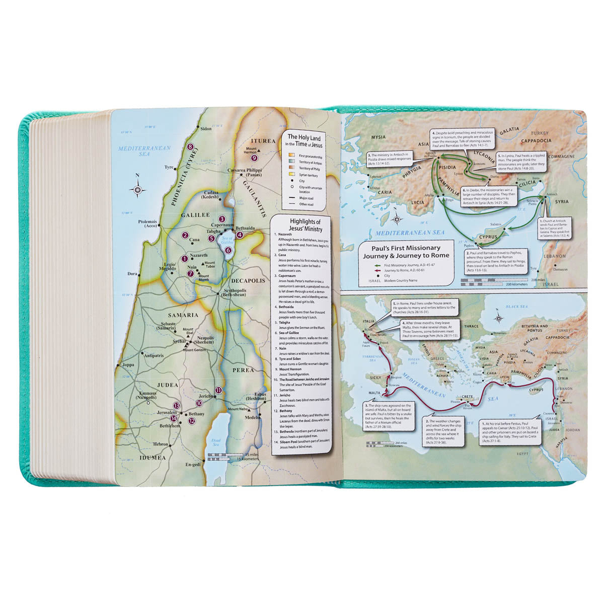 Robin’s-egg Blue Faux Leather Large Print Compact King James Version Bible