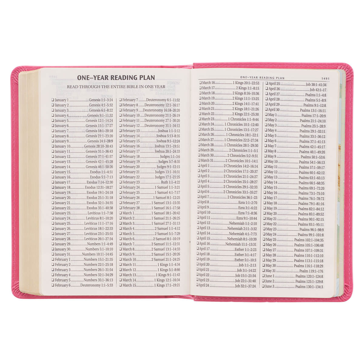 Pink Faux Leather Large Print Compact King James Version Bible