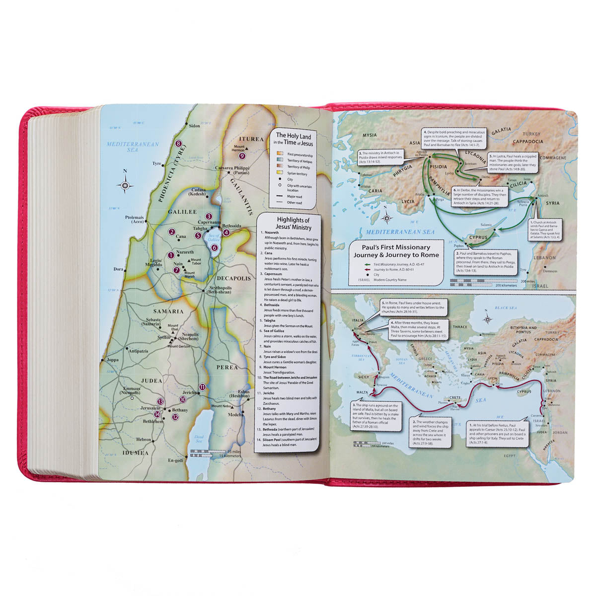 Pink Faux Leather Large Print Compact King James Version Bible