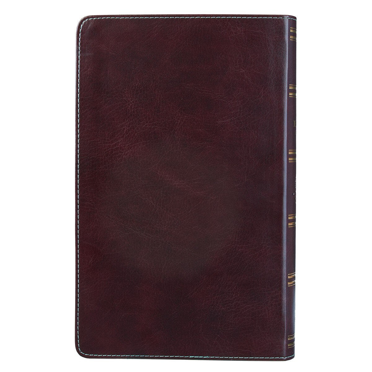 Brown and Turquoise Faux Leather Giant Print King James Version Bible