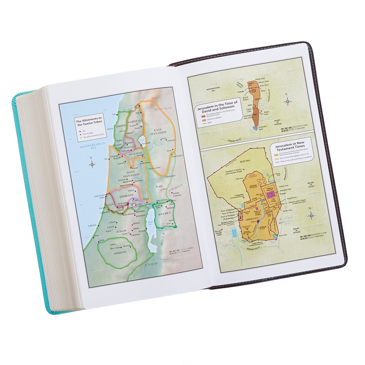 Brown and Turquoise Faux Leather Giant Print King James Version Bible