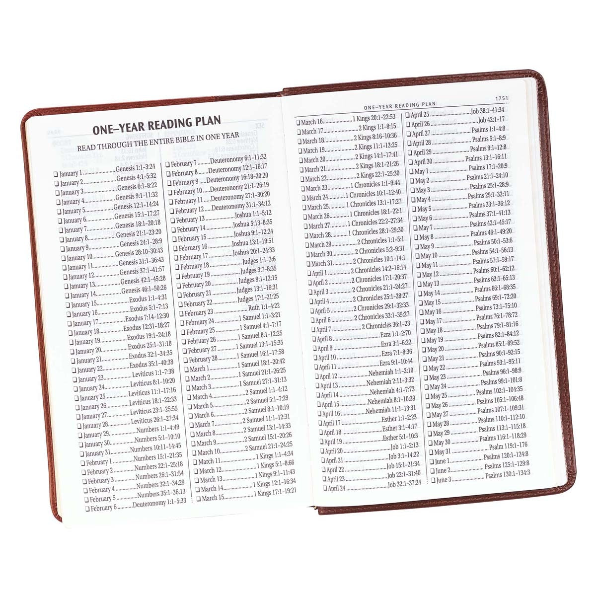 Two-tone Brown Faux Leather Giant Print Standard-size King James Version Bible