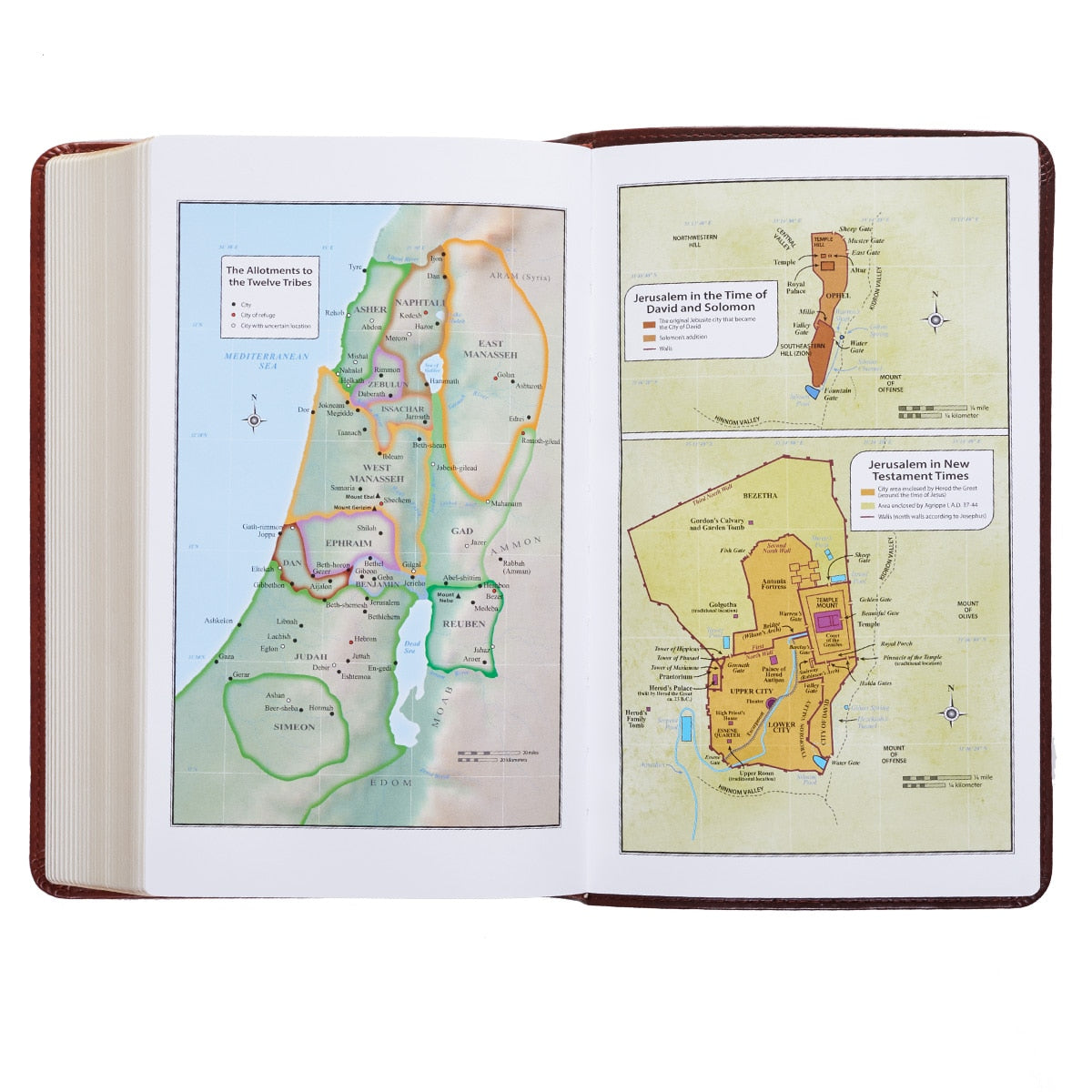 Two-tone Brown Faux Leather Giant Print Standard-size King James Version Bible
