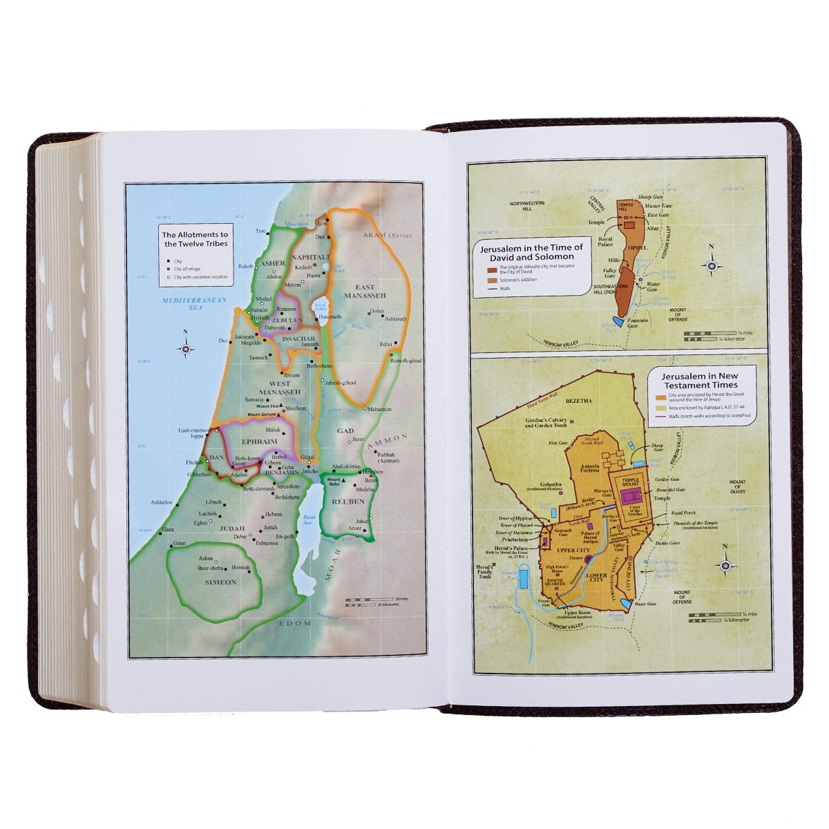 Dark Brown Faux Leather Giant Print Standard-size King James Version Bible with Thumb Index