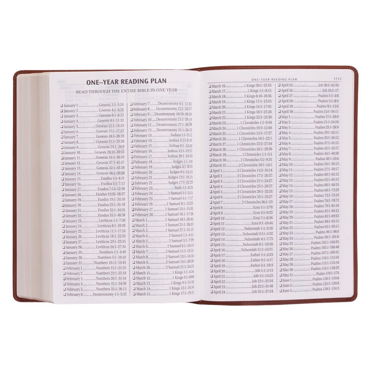 Saddle Tan Faux Leather Super Giant Print King James Version Bible