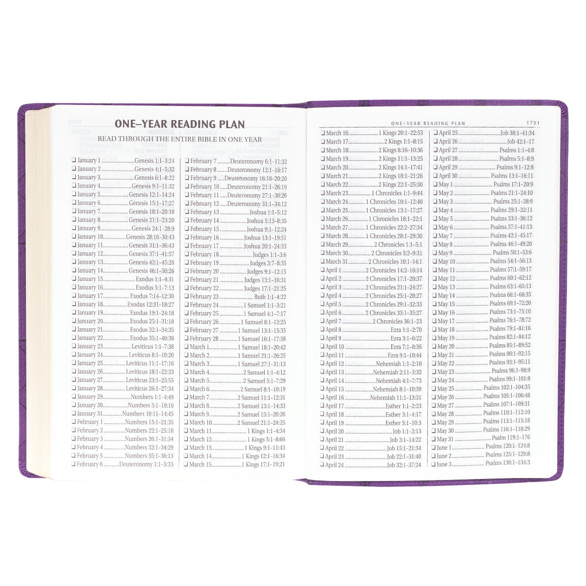 Purple Faux Leather Super Giant Print King James Version Bible