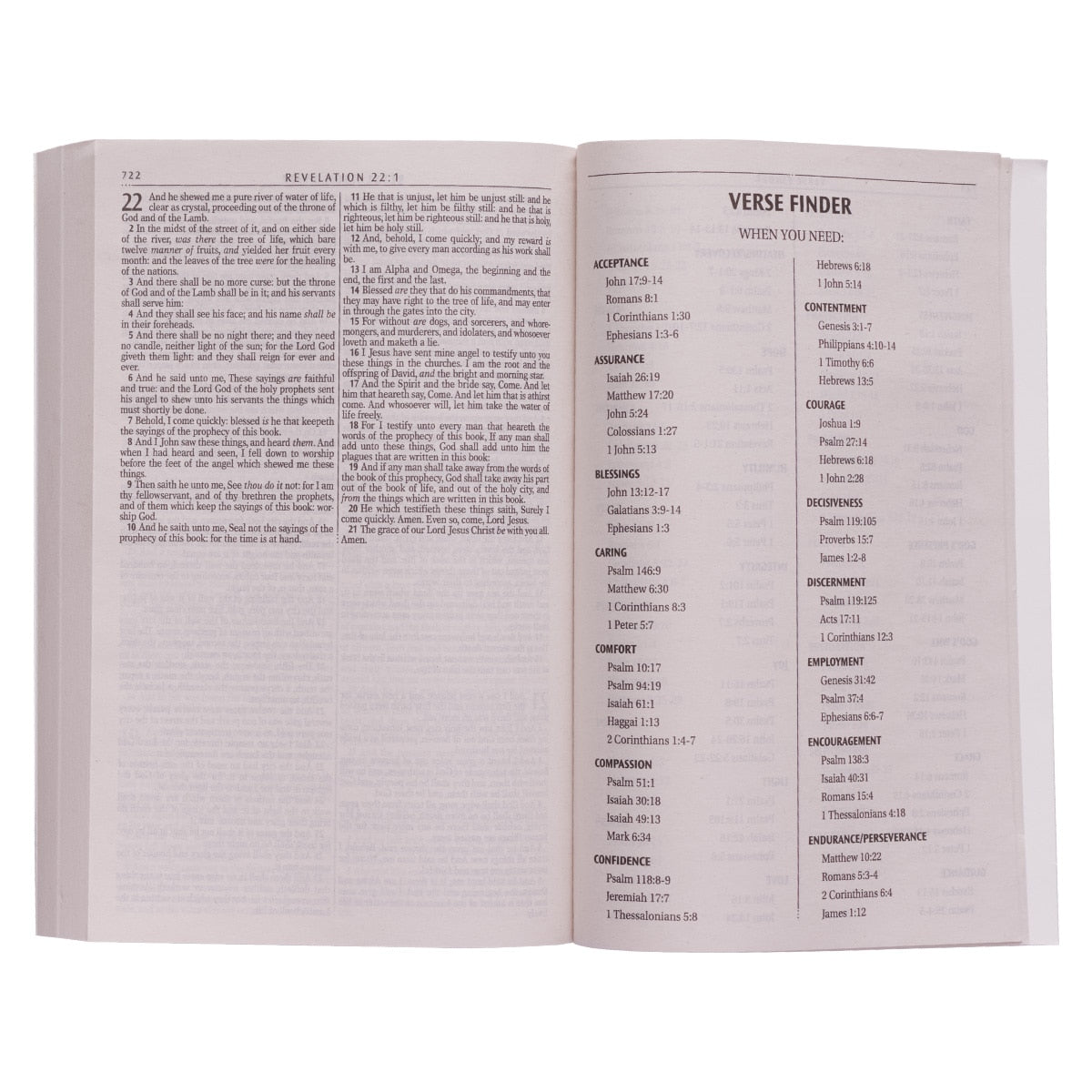 Silver-Gray Damask Softcover King James Version Outreach Bible