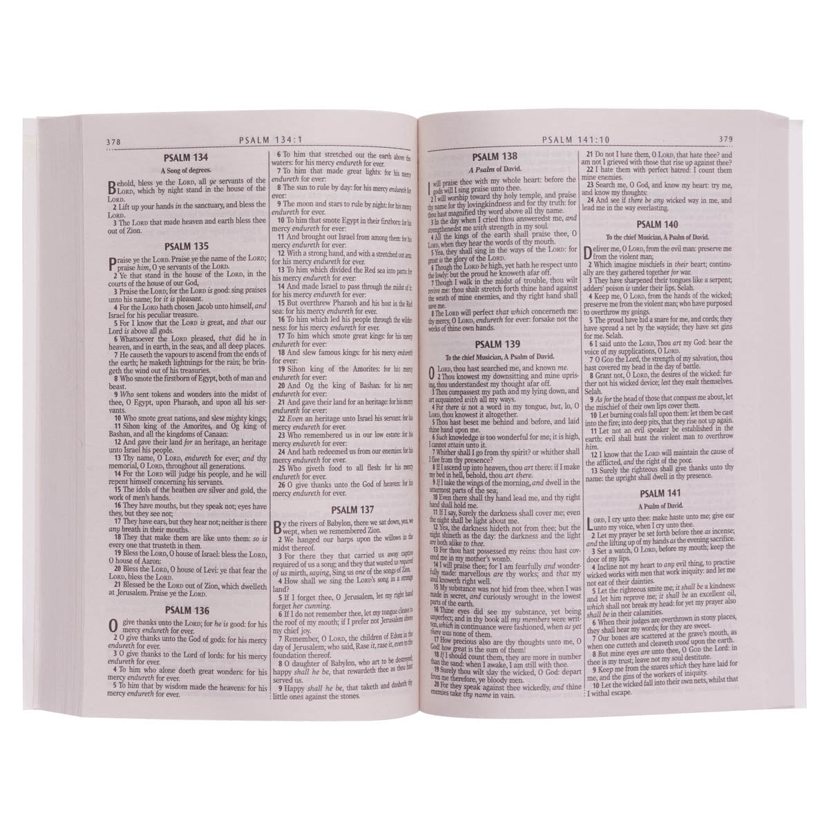 Silver-Gray Damask Softcover King James Version Outreach Bible