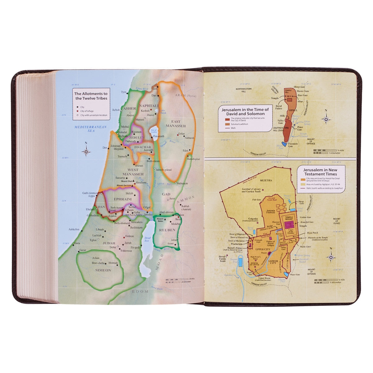 Dark Brown Faux Leather Large Print Compact King James Version Bible