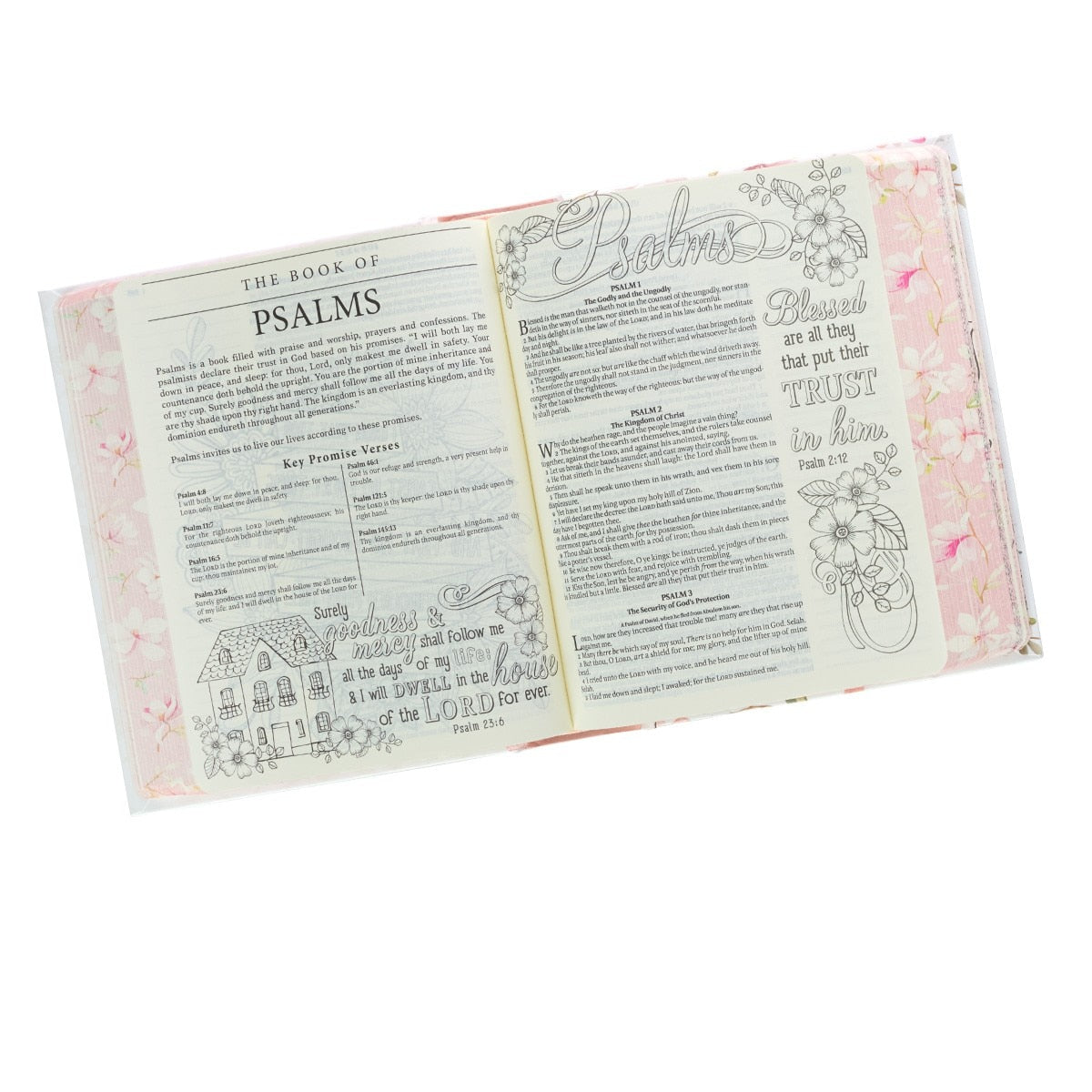 Pink Hardcover KJV My Promise Bible