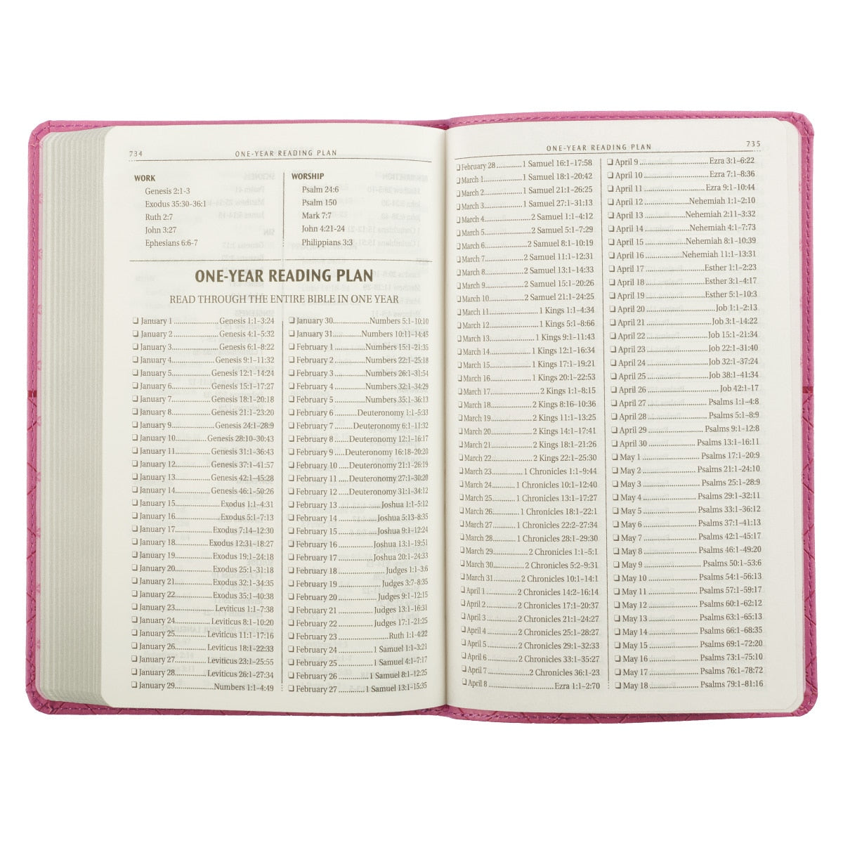 Pink Faux Leather King James Version Gift Edition Bible