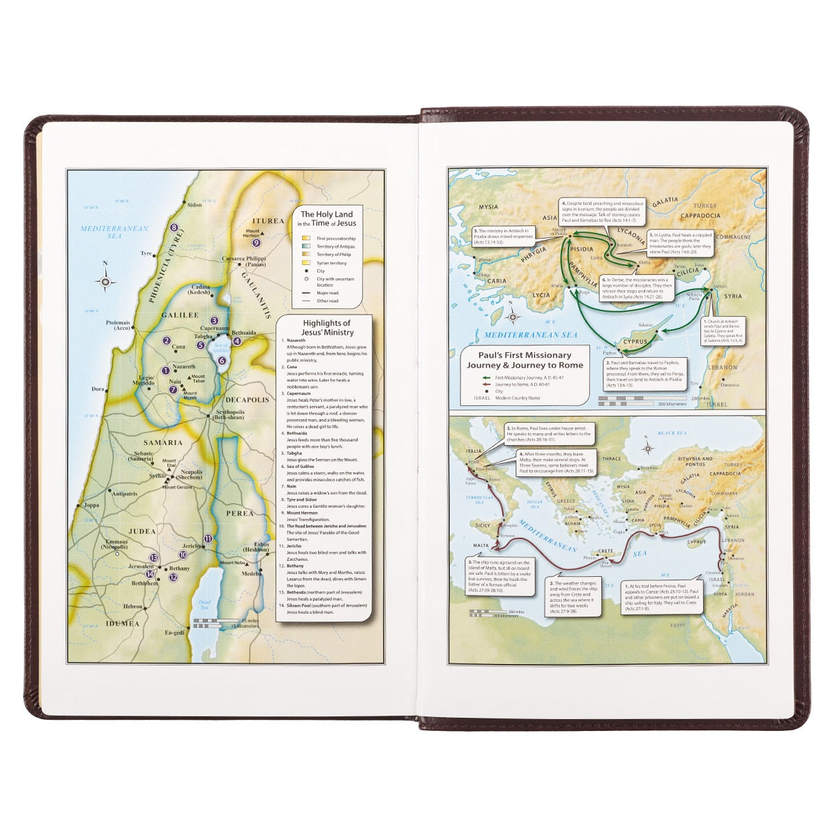 Dark Brown Faux Leather King James Version Deluxe Gift Bible with Thumb Index