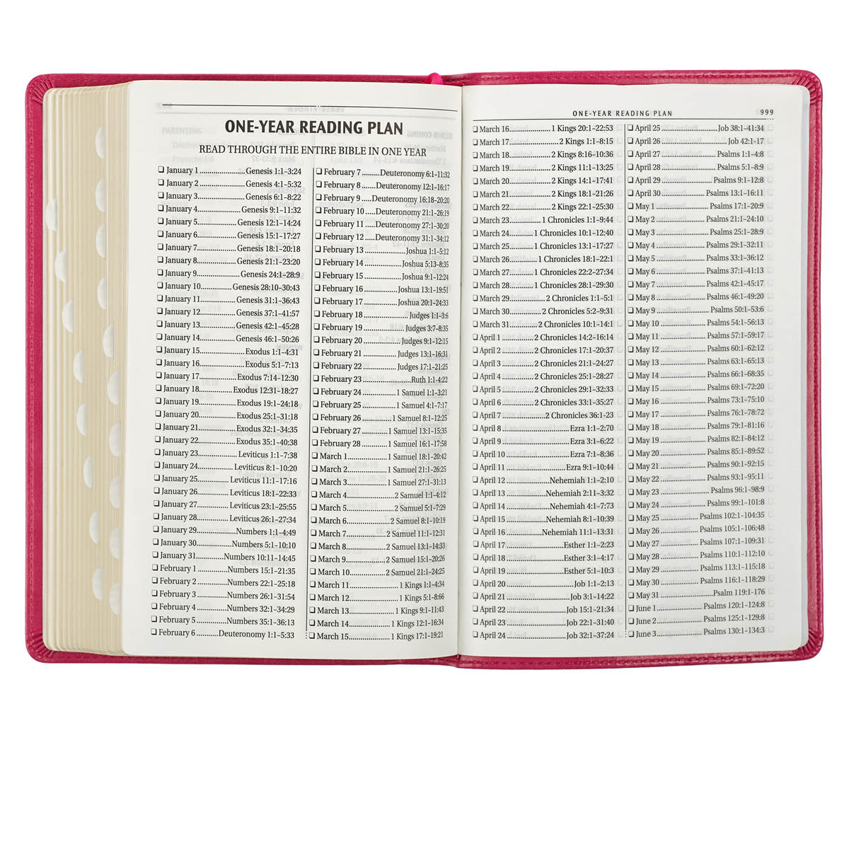 Pink Faux Leather King James Version Deluxe Gift Bible with Thumb Index