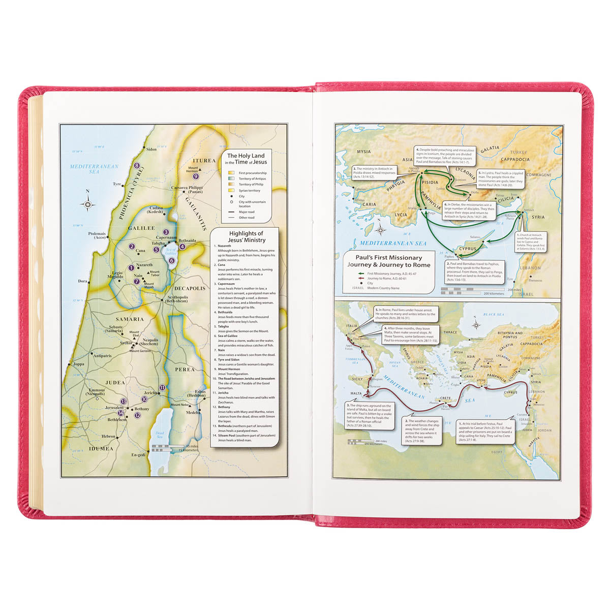 Pink Faux Leather King James Version Deluxe Gift Bible with Thumb Index