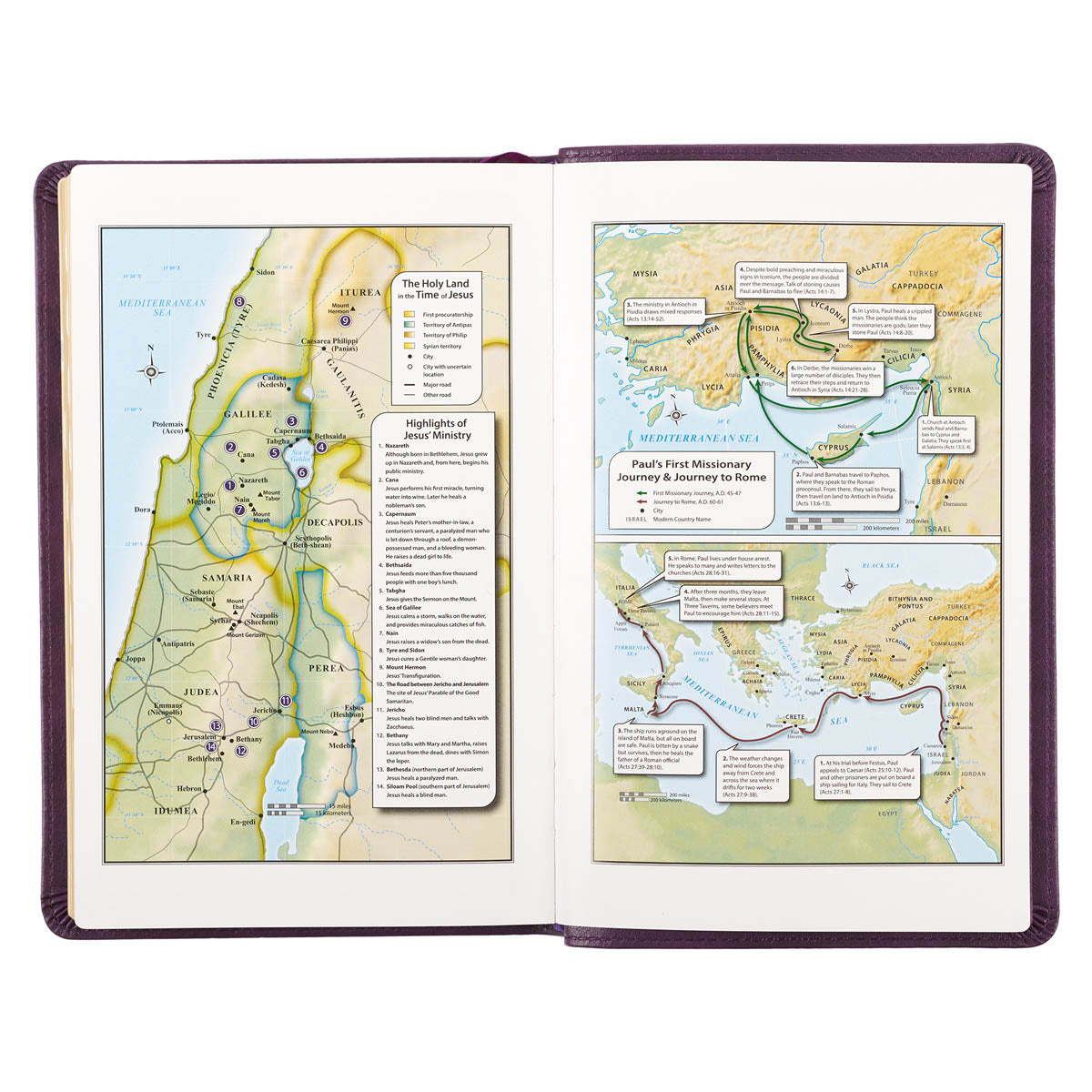 Purple Faux Leather King James Version Deluxe Gift Bible with Thumb Index