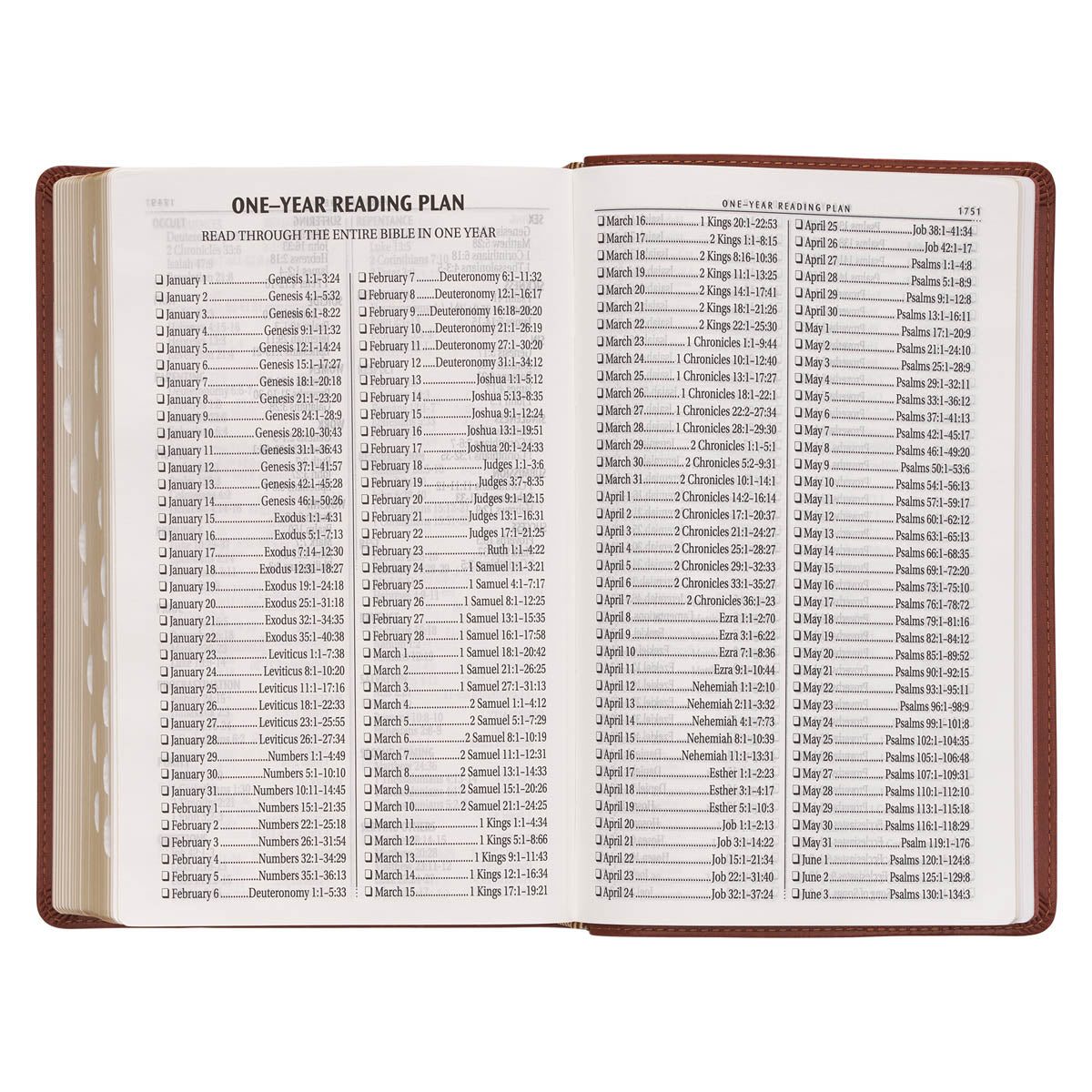 Saddle Tan Faux Leather Giant Print Standard-size King James Version Bible with Thumb Index