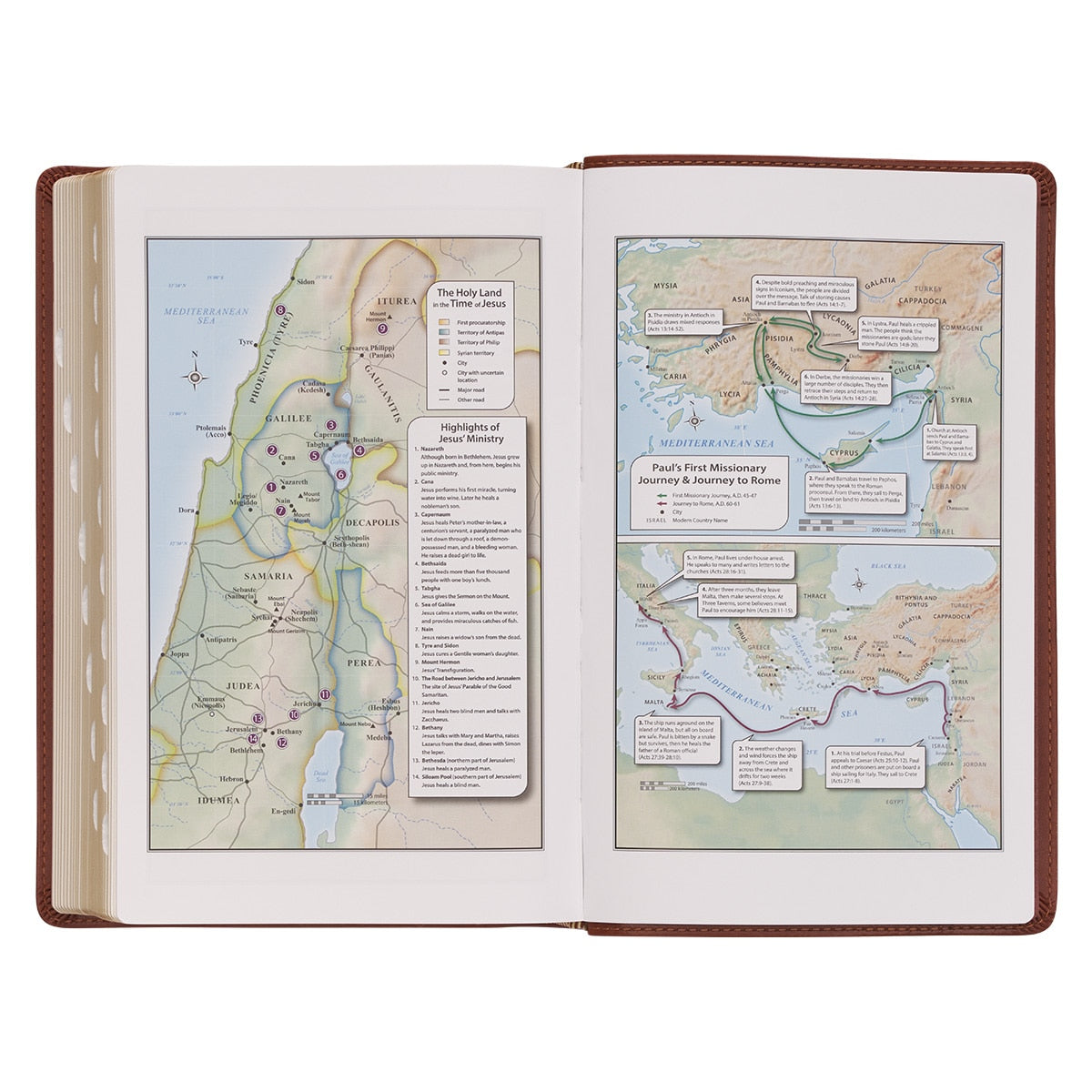 Saddle Tan Faux Leather Giant Print Standard-size King James Version Bible with Thumb Index