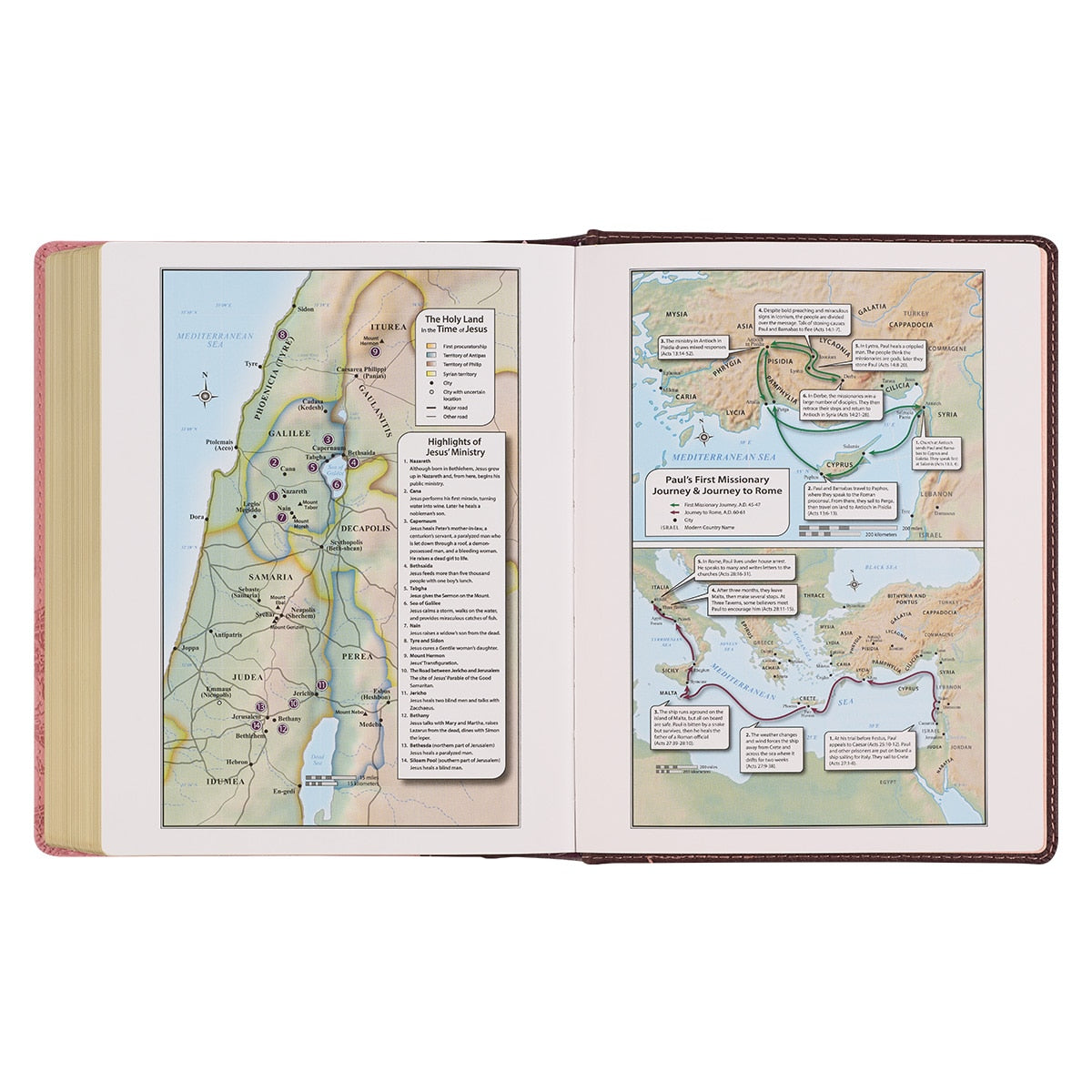 Brown and Pink Faux Leather Hardcover Note-taking Bible