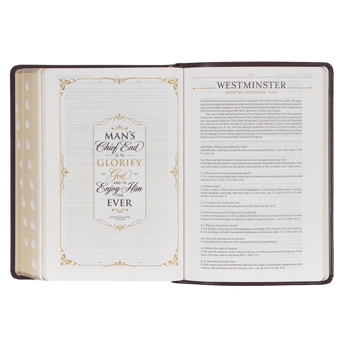 Burgundy Faux Leather King James Version Study Bible with Thumb Index