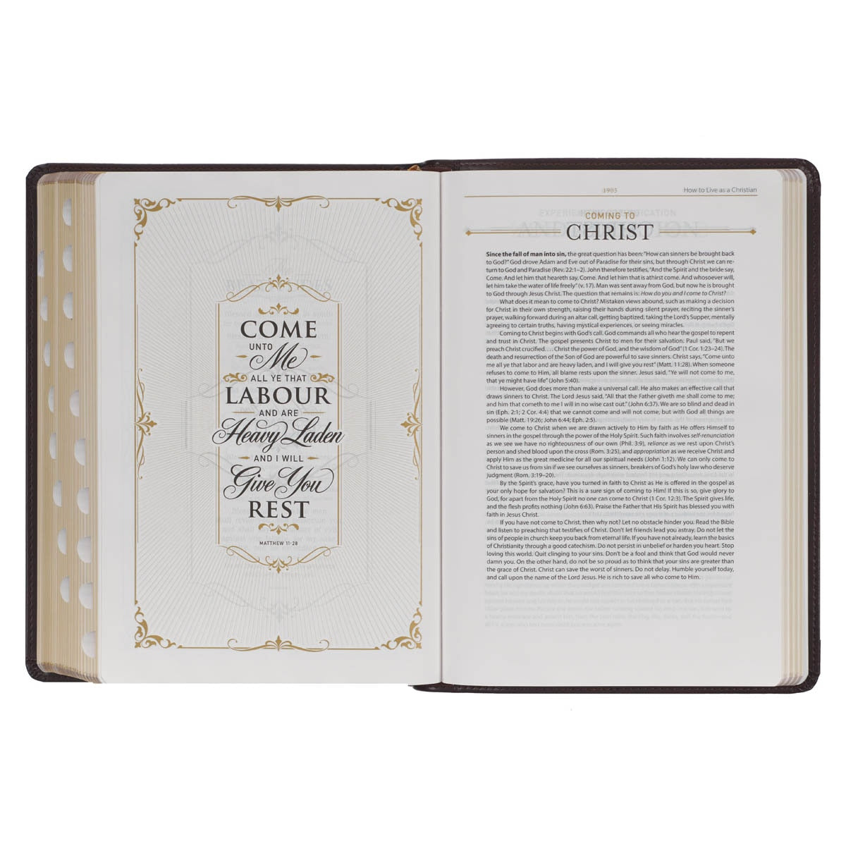 Burgundy Faux Leather King James Version Study Bible with Thumb Index