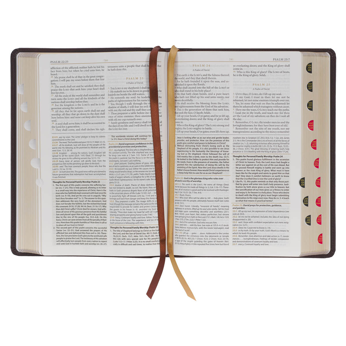Burgundy Faux Leather King James Version Study Bible with Thumb Index