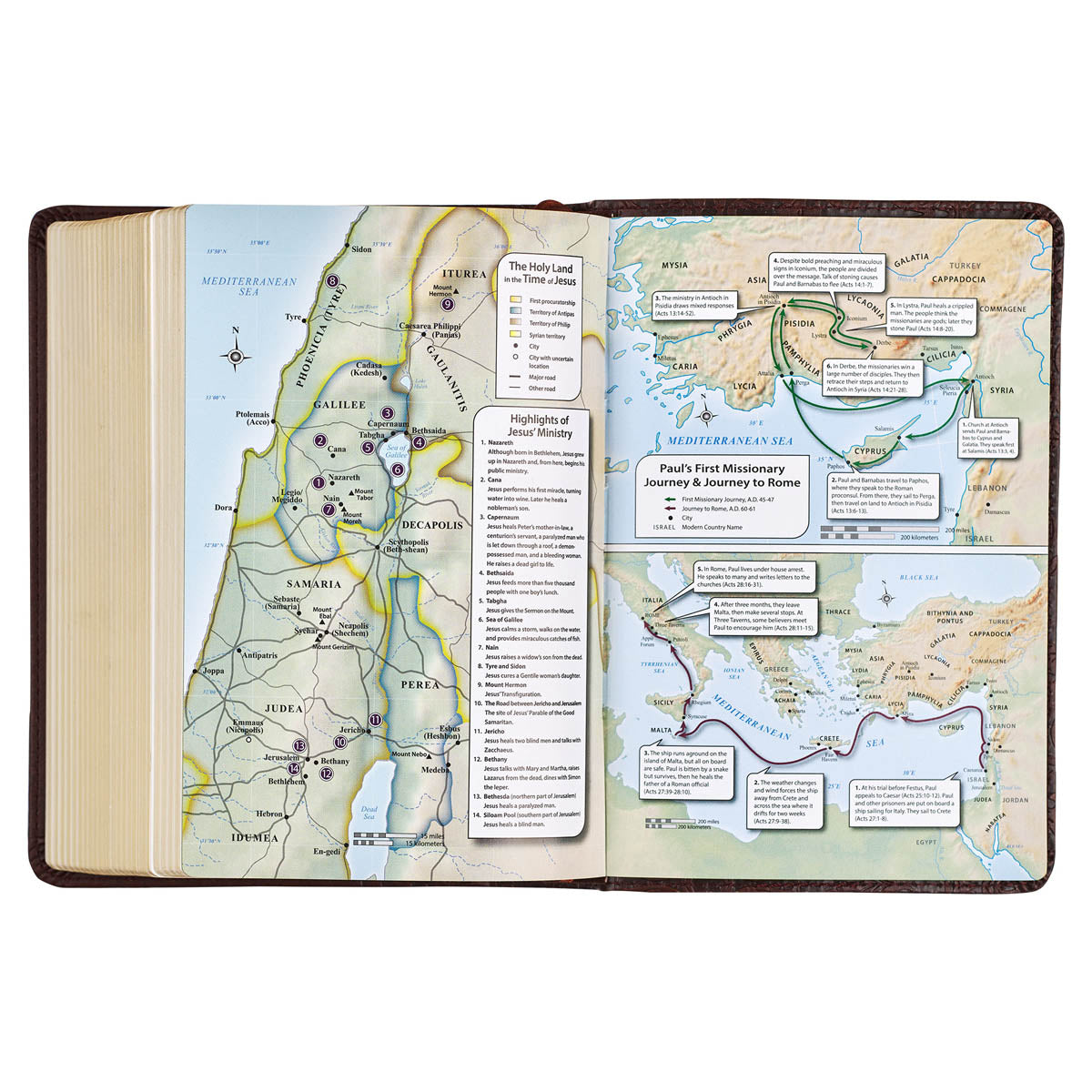 Medium Brown Faux Leather Large Print Compact King James Version Bible