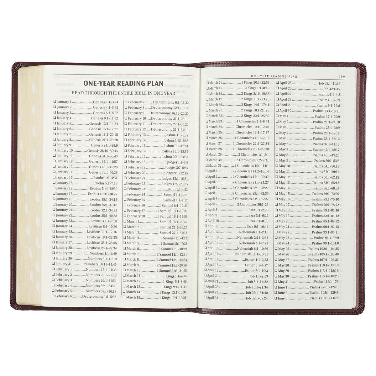 Burgundy Faux Leather Large Print Thinline King James Version Bible with Thumb Index