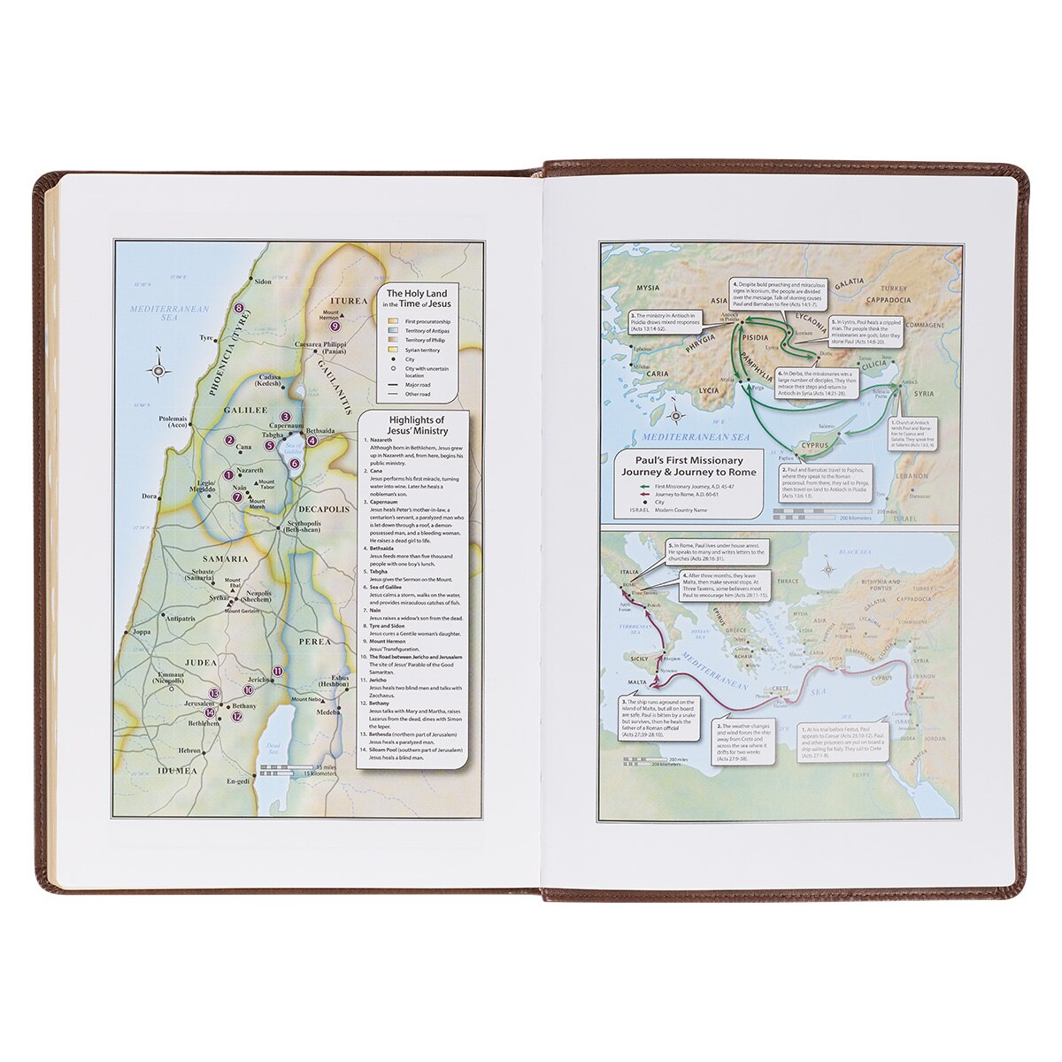 Antiqued Brown Faux Leather Large Print Thinline King James Version Bible with Thumb Index