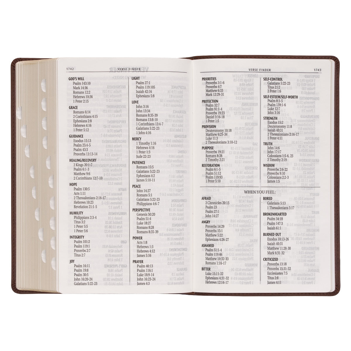 Medium Brown Ivy Faux Leather Giant Print Standard-size Bible with Thumb Index