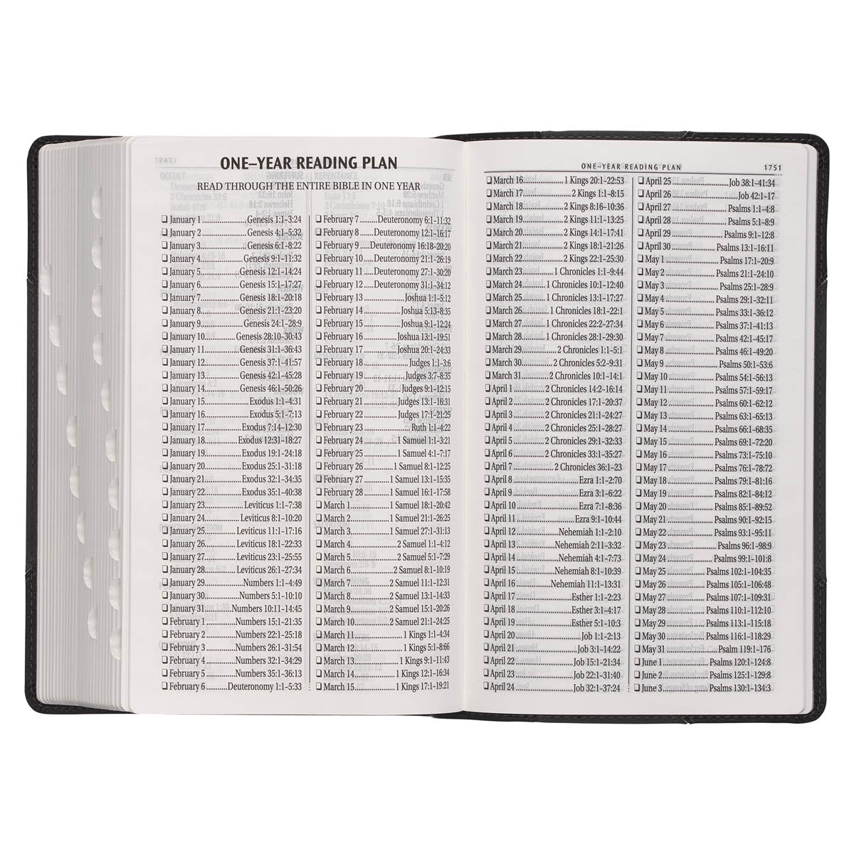 Black and Gray Two-tone Faux Leather Giant Print Standard-size Bible with Thumb Index