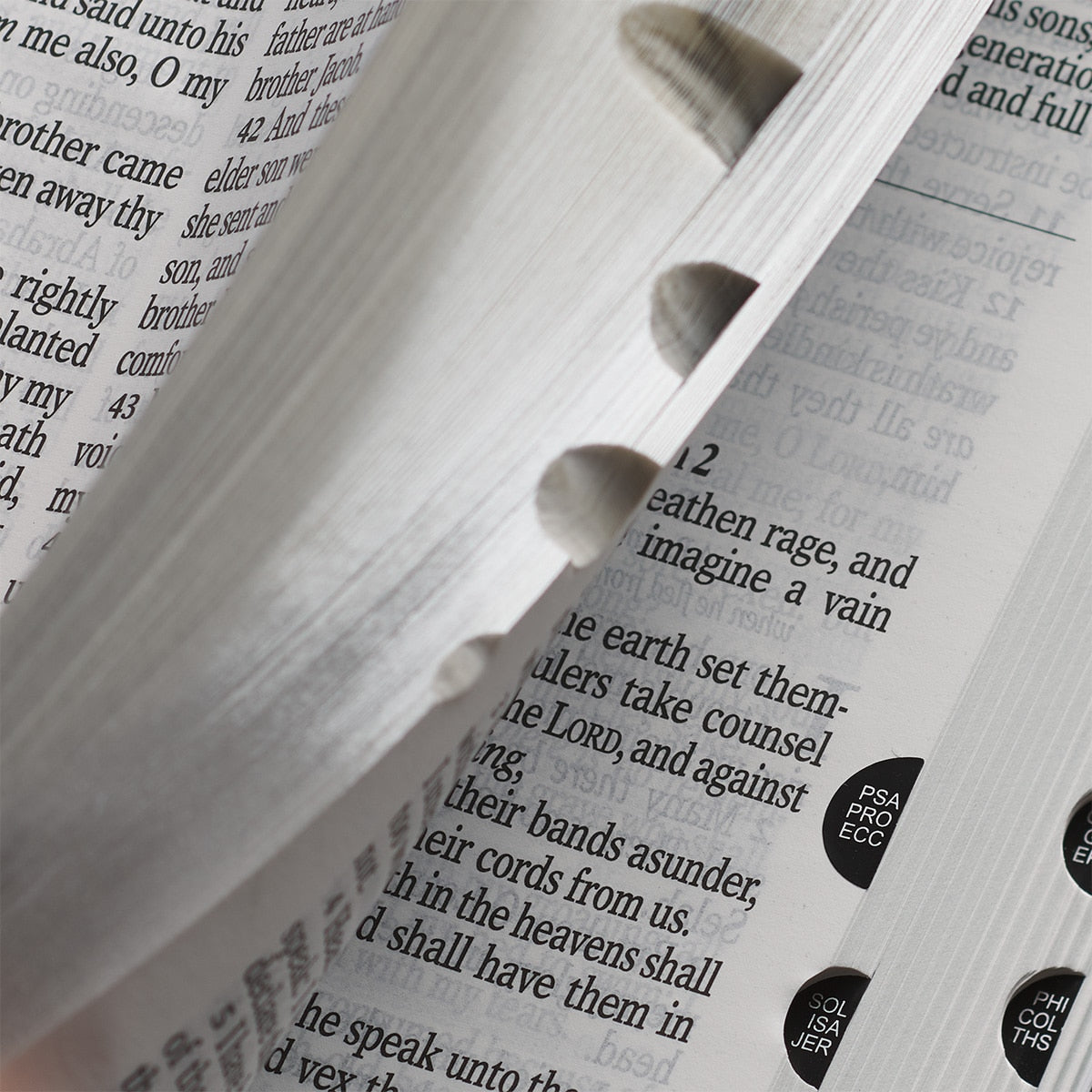 Black and Gray Two-tone Faux Leather Giant Print Standard-size Bible with Thumb Index