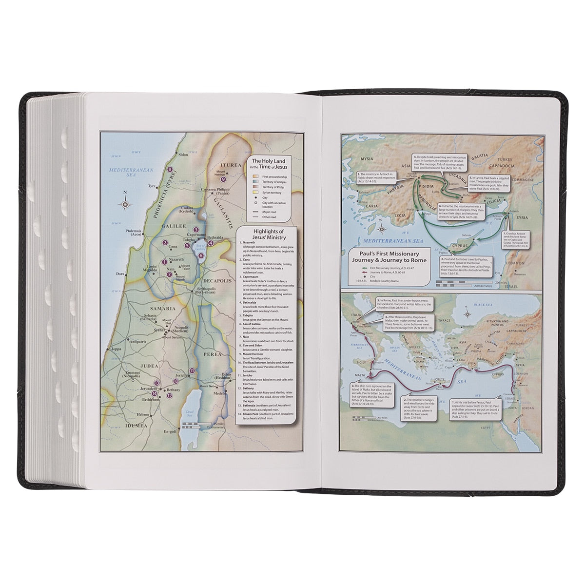 Black and Gray Two-tone Faux Leather Giant Print Standard-size Bible with Thumb Index