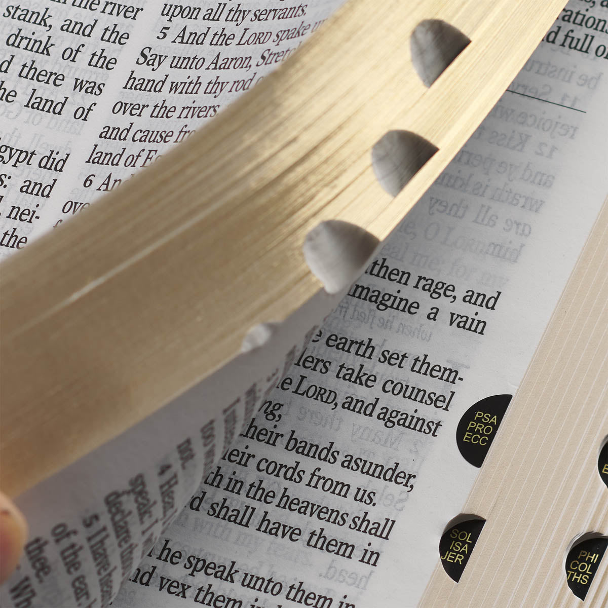 Purple Floral Faux Leather Giant Print Standard-size King James Version Bible with Thumb Index