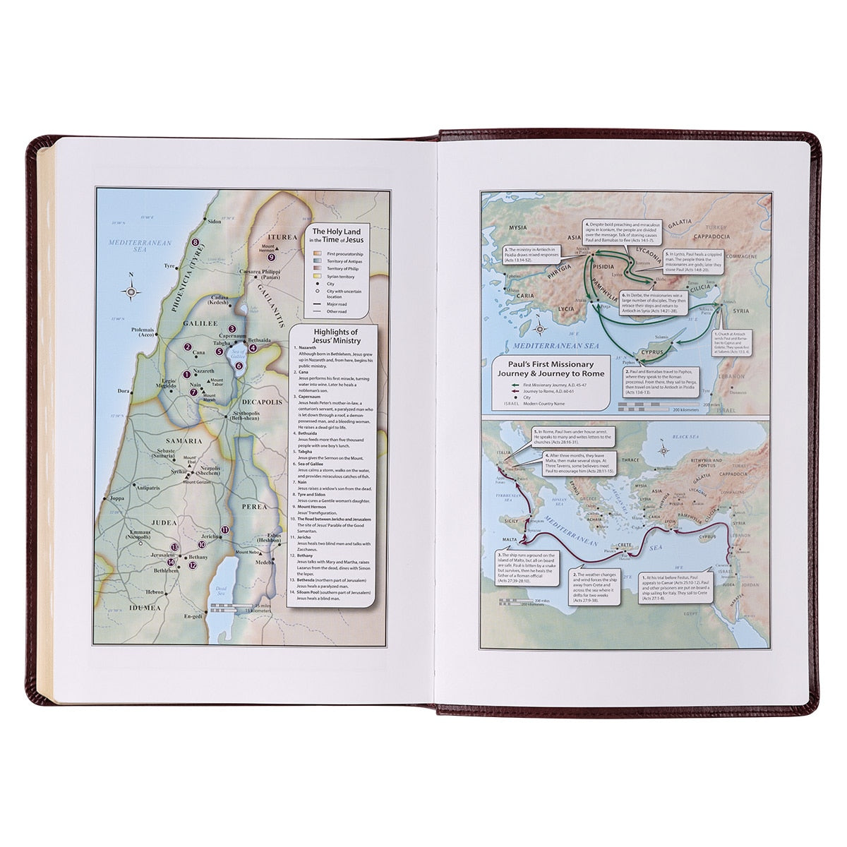 Burgundy Faux Leather Full-size Giant Print King James Version Bible with Thumb Index