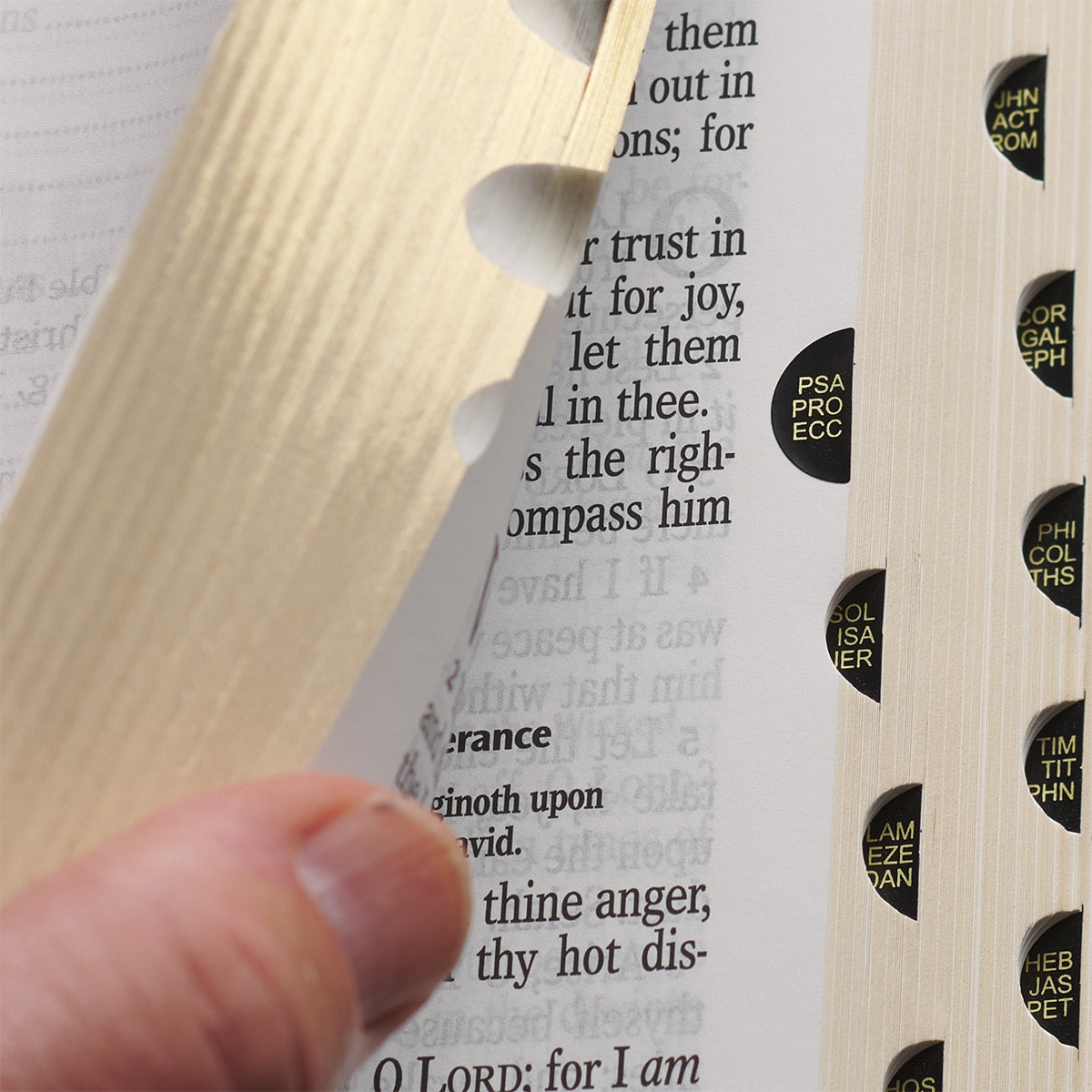 Two-tone Brown Faux Leather Giant Print Full-size King James Version Bible with Thumb Index