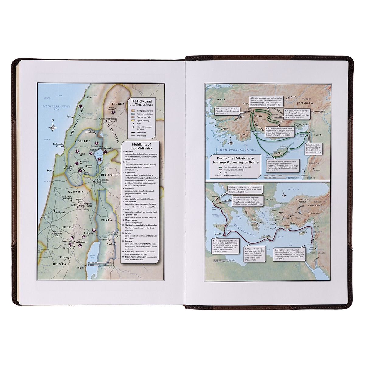 Two-tone Brown Faux Leather Giant Print Full-size King James Version Bible with Thumb Index