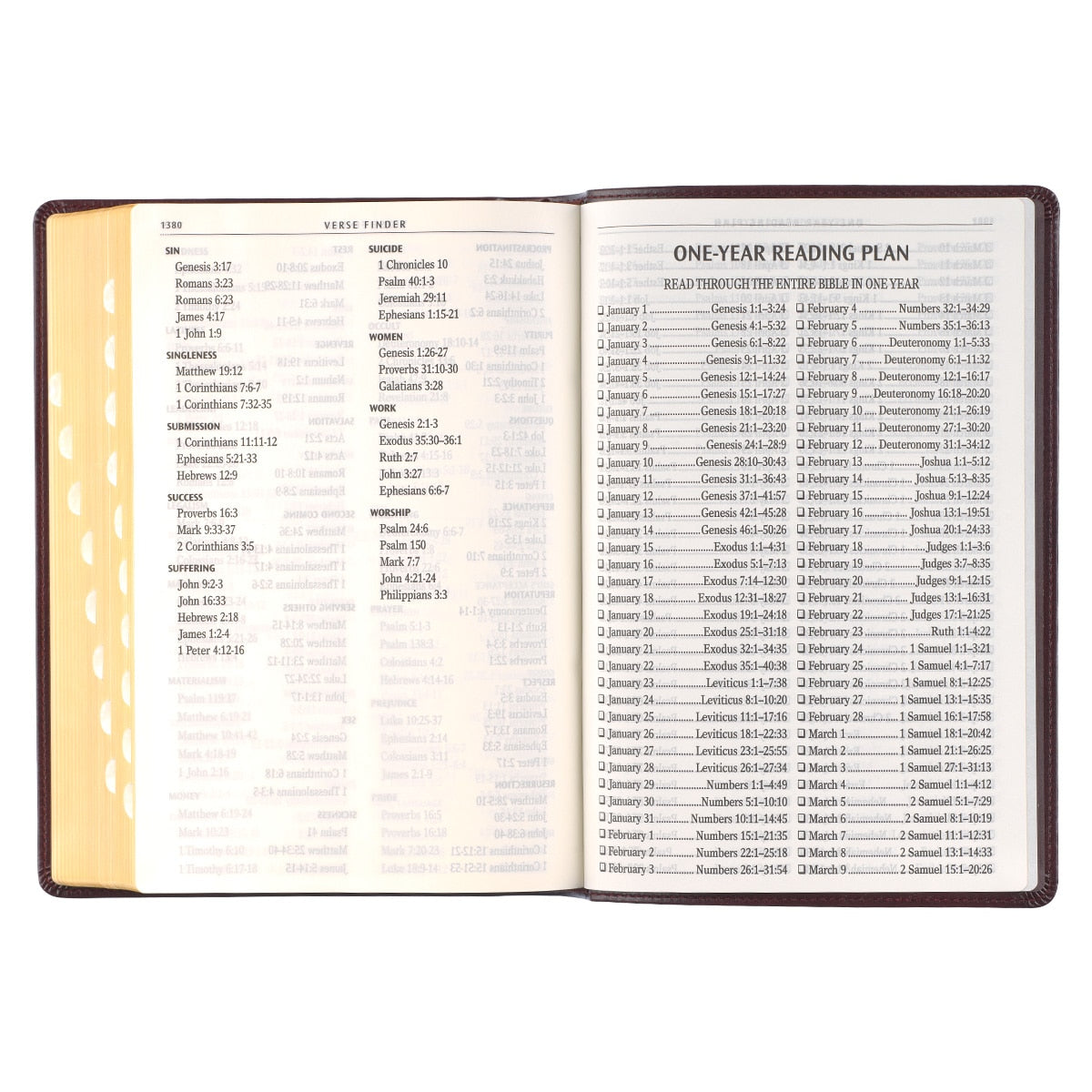 Antiqued Dark Brown Faux Leather Giant Print Full-size King James Version Bible with Thumb Index