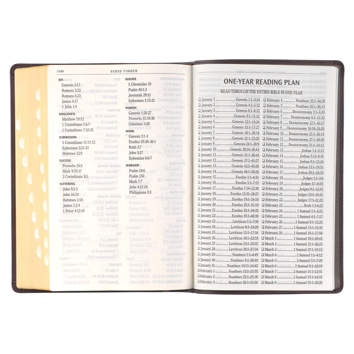 Espresso Brown Faux Leather Giant Print Full-size King James Version Bible with Thumb Index