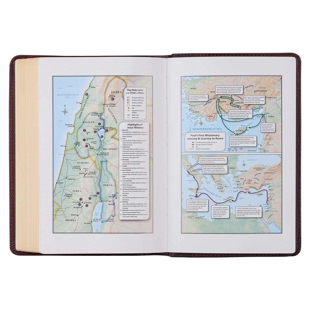 Merlot & Burgundy Two-tone Full Grain Leather Compact King James Version Bible