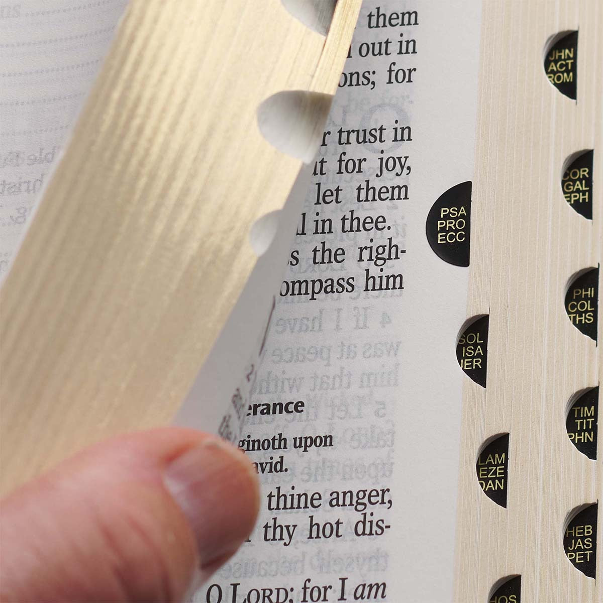 Tawny and Dark Brown Full Grain Leather Giant Print King James Version Bible with Thumb Index