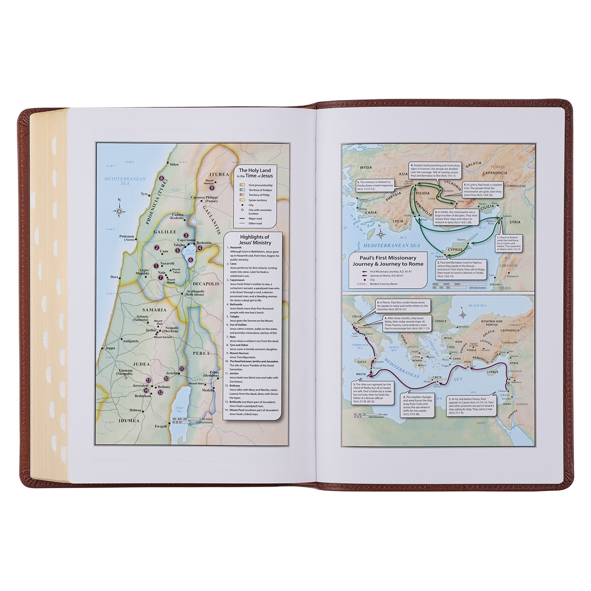 Saddle Tan Full Grain Leather Giant Print Full-size King James Version Bible with Thumb Indexing