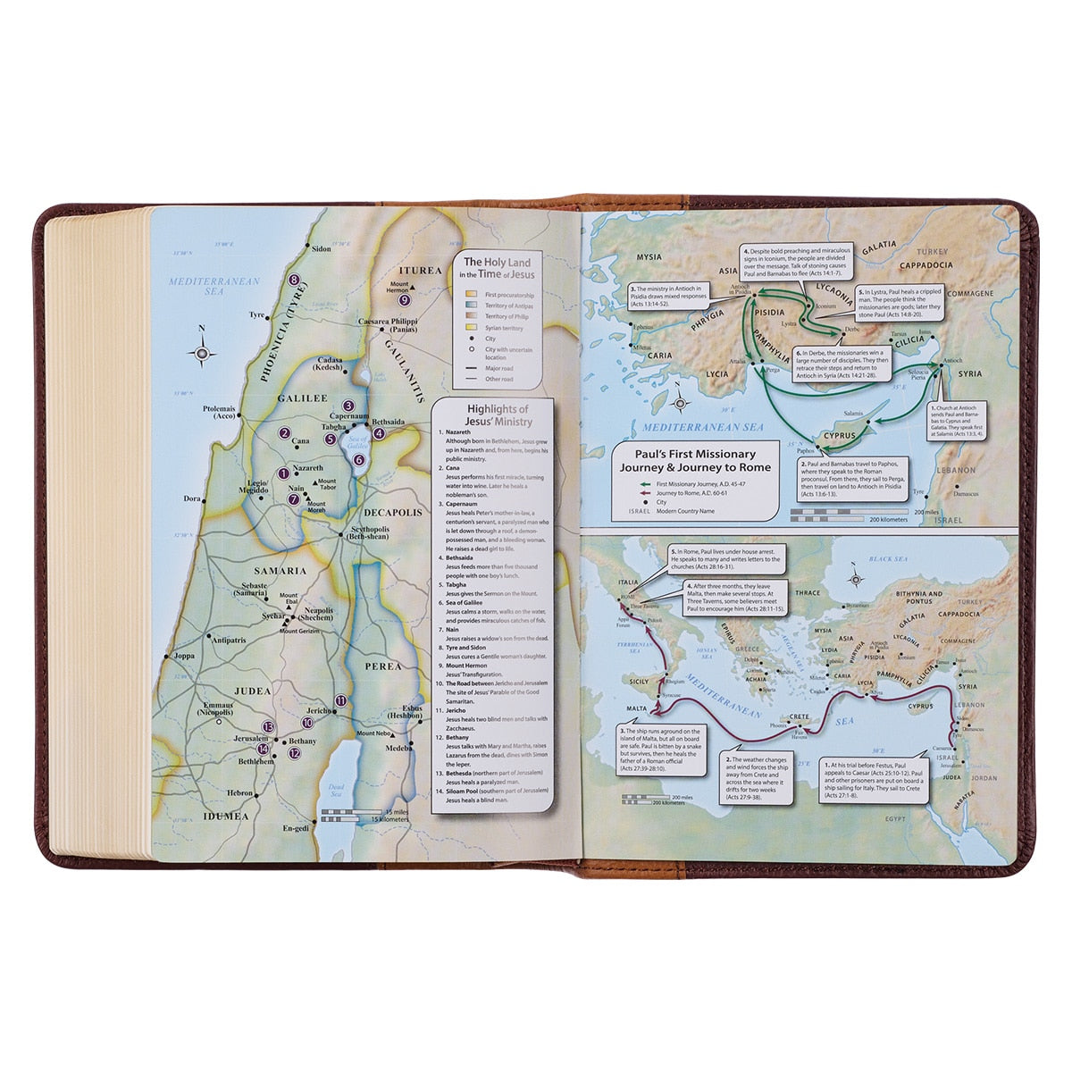 Saddle Tan and Butterscotch Large Print Compact KJV Bible